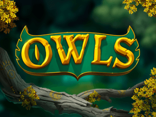 Owls